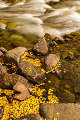 USA, Colorado. Autumn on Castle Creek.