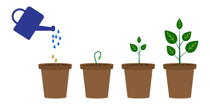 Icon with green flowerpots watering can for concept design. Growth step infographic concept. Stock image. EPS 10.