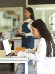 Female freelancer working with laptop on the table in coffee shop