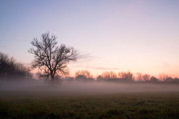 Fototapeta na wymiar Foggy Evening Near The Elbe River