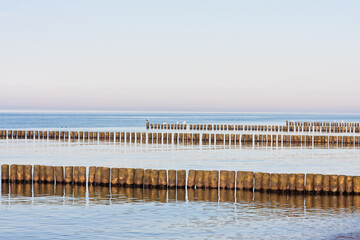  broins in the Baltic Sea, Germany