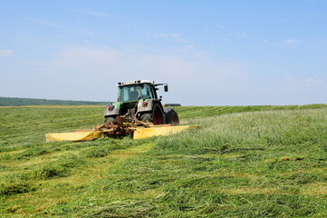 Fototapeta premium Tractor Mow Grass On A Meadow