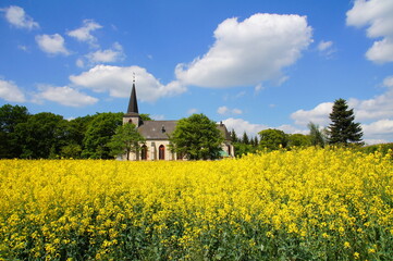 Church And Rape Field In Buchholz In The Eifel
