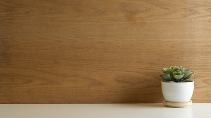 Mock up scene, white table with plant pot, copy space and wooden wall background