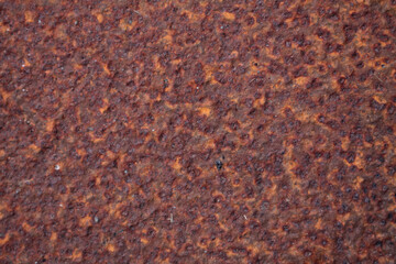 Rust