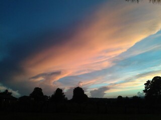 Naturaleza