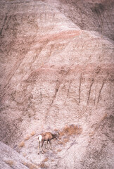 view from road in national park
