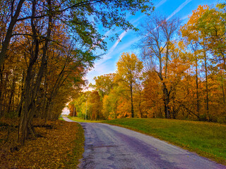 Fototapeta premium autumn in the park