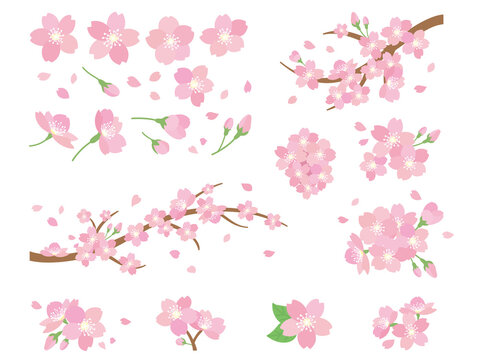 綺麗 ピンク 春 枝 Images Browse 9 185 Stock Photos Vectors And Video Adobe Stock