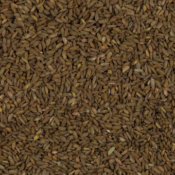 texture of rice devzira for pilaf close up