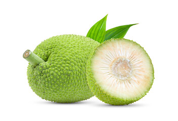 breadfruit on white background