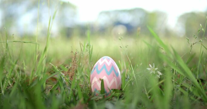 Easter egg hidden in grass for an Easter egg hunt.