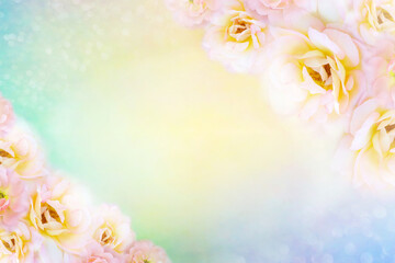 Obraz na płótnie Canvas soft yellow rose flower frame vintage color background for valentine or wedding card with copy space