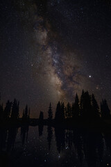 USA, Colorado, Gunnison National Forest. Milky Way above forest and lake.