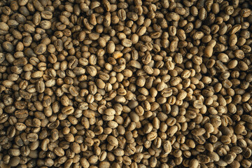 Coffee beans Before roasting in the hand