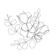The botanical flower is cotton. Botanical composition. Black-white cotton flower on a white background. Vector illustration.