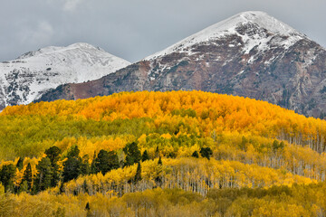 USA, Colorado, Crested Butte. Fall colors and snowcapped mountains
