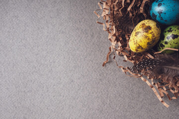 Happy Easter. Bright congratulatory Easter background. Top view, flat lay, copy space. Colorful Easter eggs and feathers in a nest on a gray background, close-up