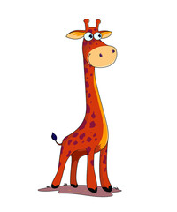 Obraz premium illustration graphic vector of graphic smiling giraffe,best for illustration book story etc