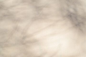 Naklejka premium Texture of light yellow wall with shadow of tree on sunny day. Copy space background
