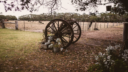 Fototapeta na wymiar Old vintage wagon wheel
