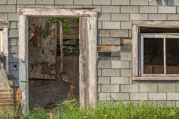 Abandoned sea shanty with vegetation growth inside and out