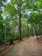 Ecotourism in beautiful Nature Trail at Phu Phra Bat historical park, Thailand.
