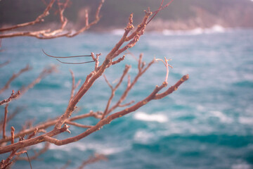 Sea waves in Dubrovnik Croatia