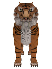 Obraz premium 3d illustration of a saber tooth tiger