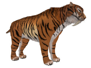 3d illustration of a saber tooth tiger