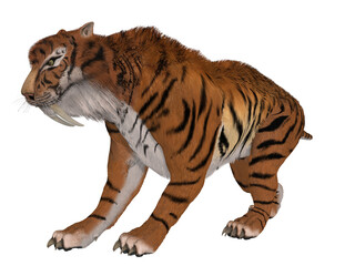 3d illustration of a saber tooth tiger