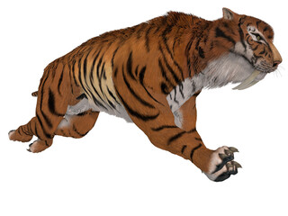 3d illustration of a saber tooth tiger