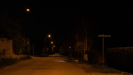 night walk of the pet in the street of a village