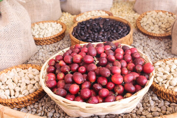 Coffee bean  in basket , fruit set on background