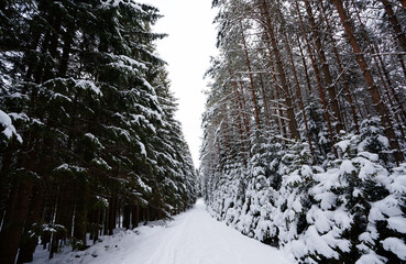 Winterlandschaft in Neuhof - Waldviertel - Niederösterreich
