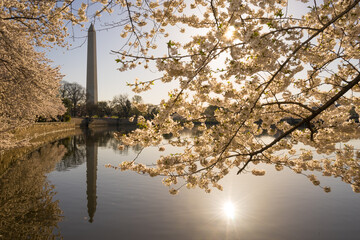 Washington monument