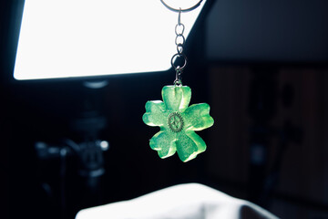 daisy is a flowering plant with a large, star-shaped head 