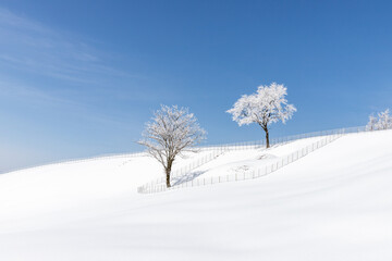 Fototapeta na wymiar Morning snow landscape in winter mountains