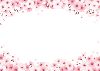 桜の手描きフレーム　横　白バック 上下