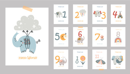 Fototapeta na wymiar Monthly baby cards with cute elephants