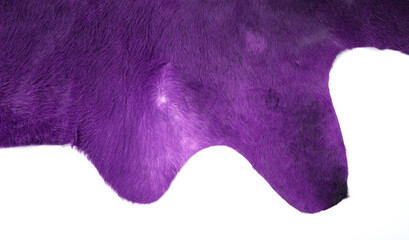 Isolated picture of a part of a dyed cow skin on a white background