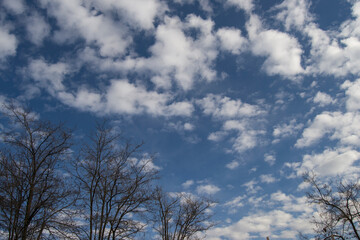 white cotton candy clouds in the blue sky in winter