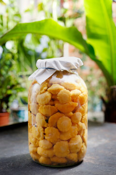 Marinated patisons. Jar with vegetable preserves.