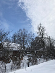 winter, snow, tree, landscape, cold, sky, nature, forest, trees, white, blue, frost, ice, season, scene, field, road, frozen, park, snowy, rural, day, outdoor, wood, weather