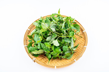 Spring Seasonal Wild Vegetables White Cauliflower Solanum