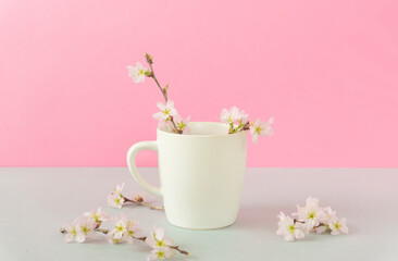 Sakura and cafe, Spring drink, Japanese drink, etc. 桜とカフェ、春の飲み物、日本の飲み物