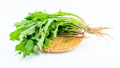 Spring seasonal wild vegetable dandelion