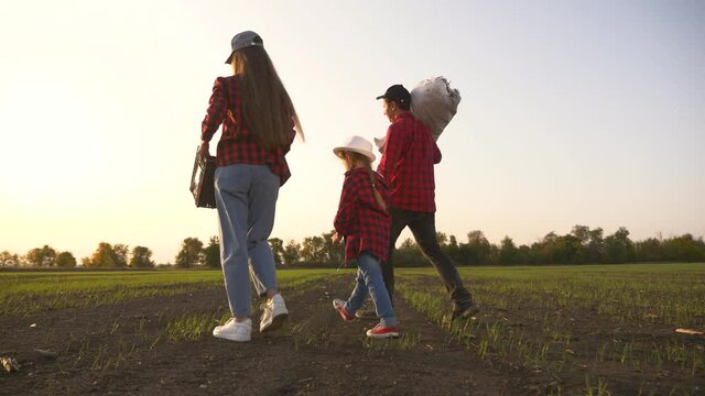 Farmer and happy family. Senior farmer in wheat field with box of vegetables. Happy family in field at sunset. Senior farmer with his family is harvesting. Happy family hiking. Farmer checks the crop