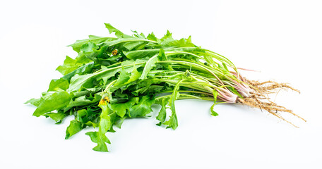 Spring seasonal wild vegetable dandelion