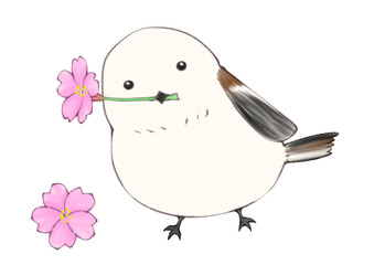 桜の花を咥えるシマエナガ